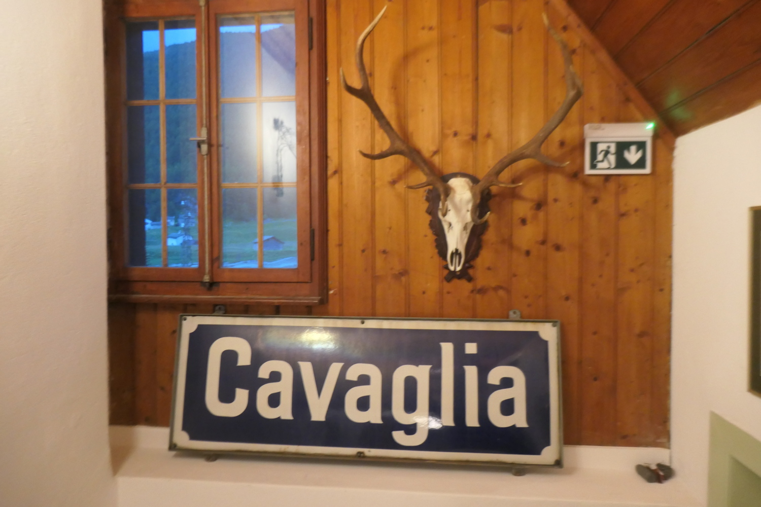 p1005441.jpg