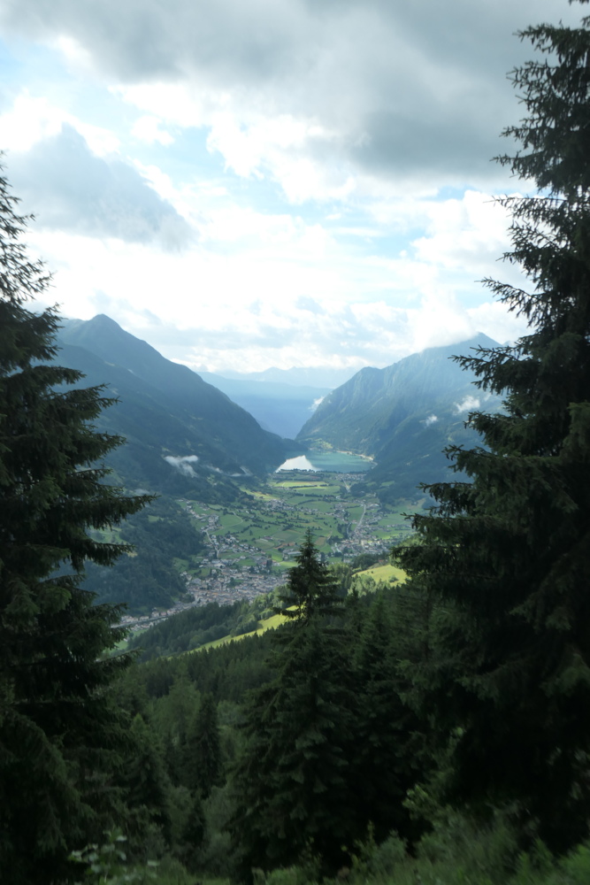 p1005445.jpg