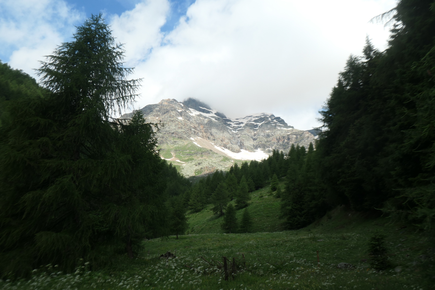 p1005446.jpg