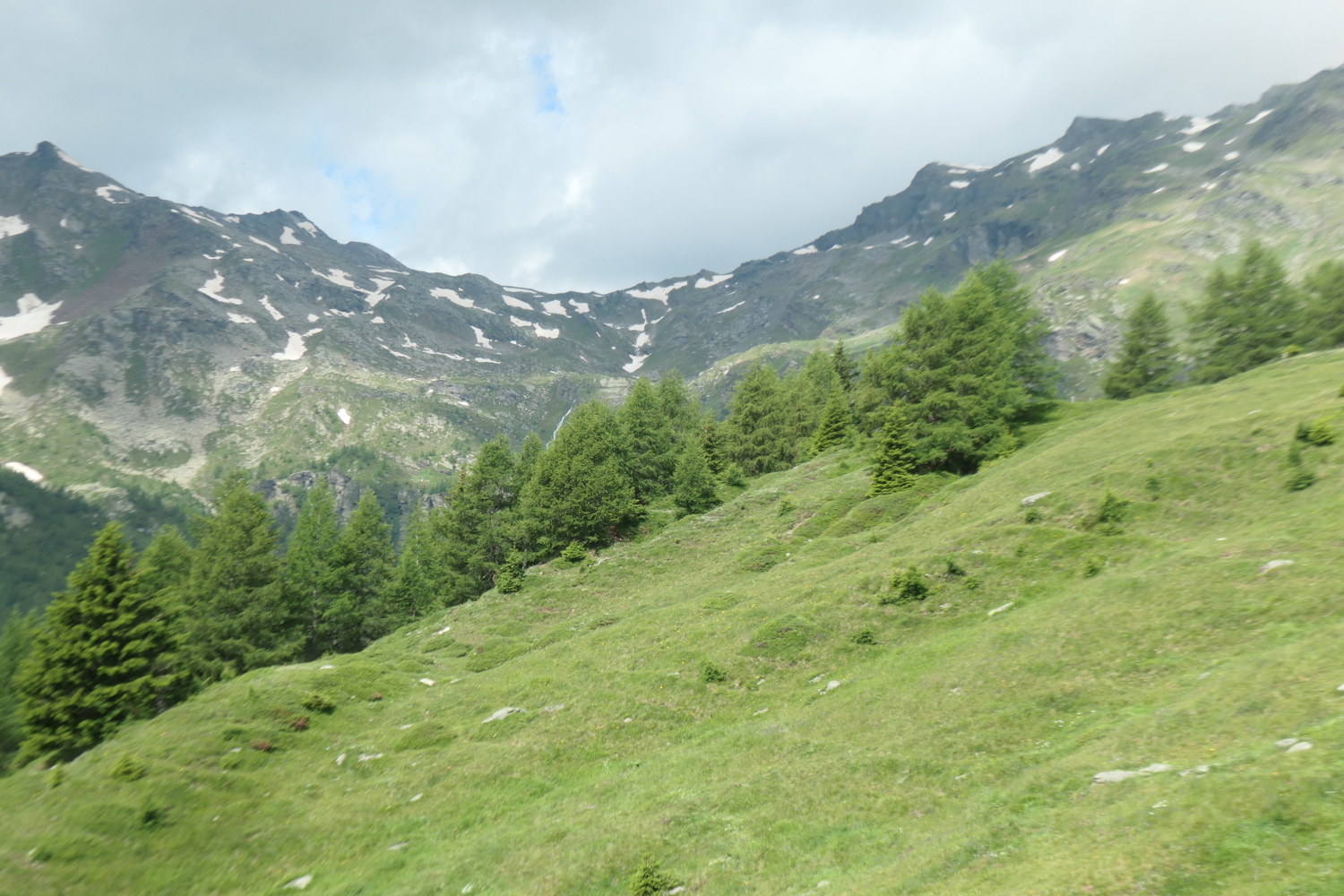 p1005451.jpg