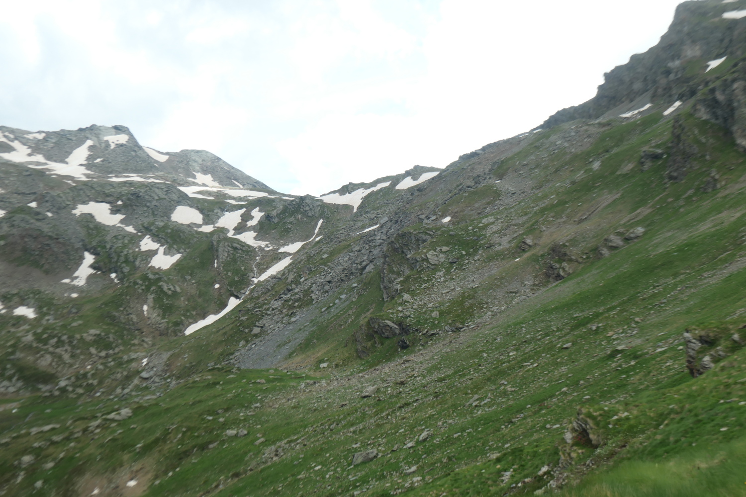 p1005455.jpg