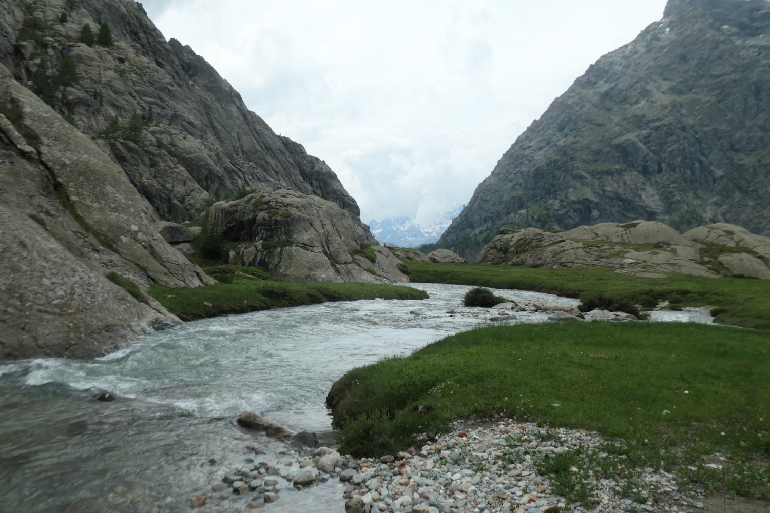 p1005474.jpg