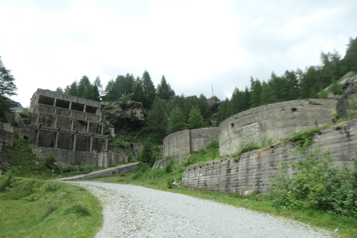 p1005477.jpg