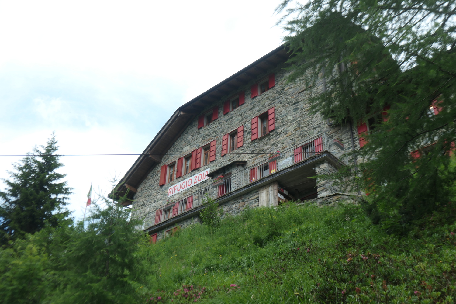 p1005478.jpg