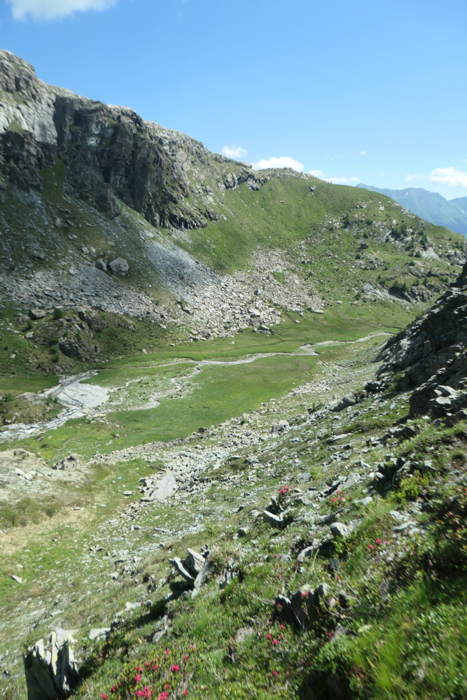 p1005499.jpg