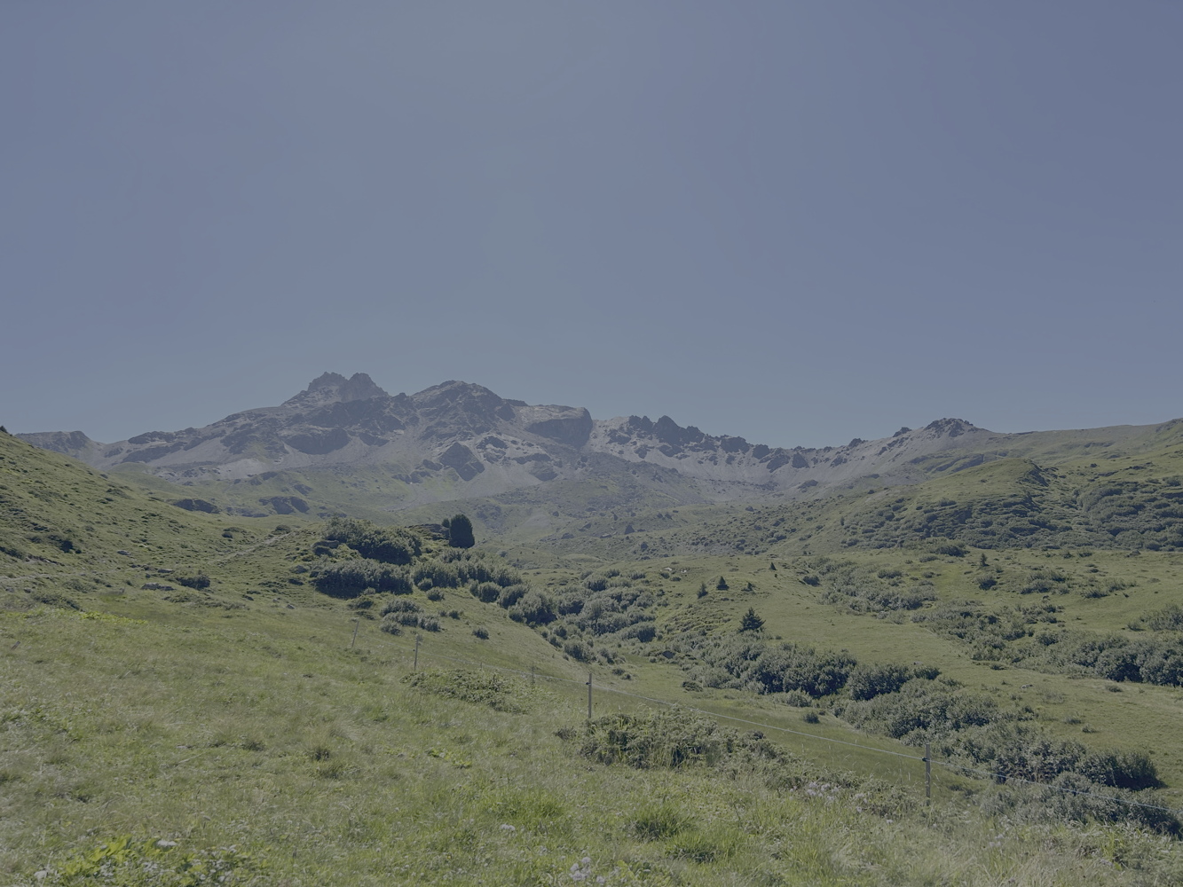 img_3584.jpeg