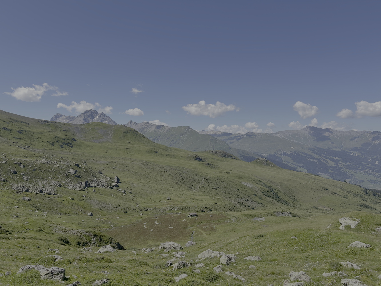 img_3586.jpeg