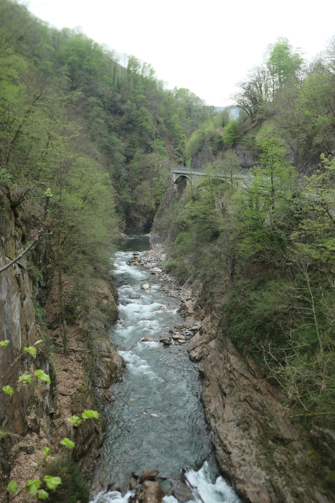 p1080600.jpg