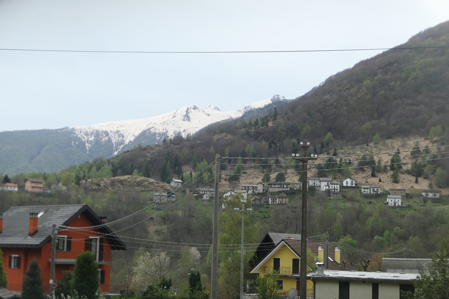 p1080605.jpg