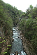 p1080600.jpg