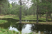p1080610.jpg
