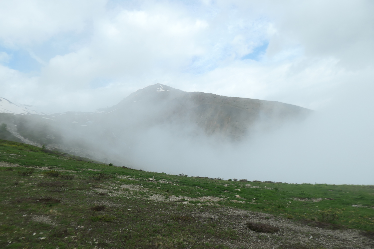 p1005418.jpg