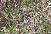 p1005425.jpg