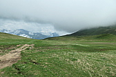 p1005437.jpg