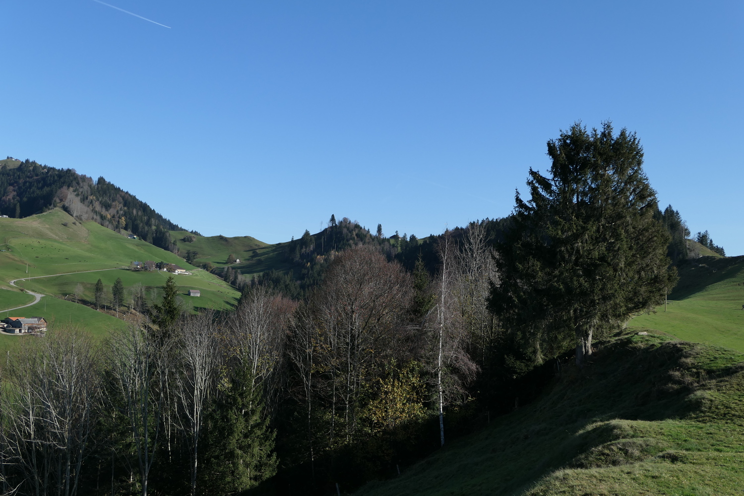 p1010041.jpg