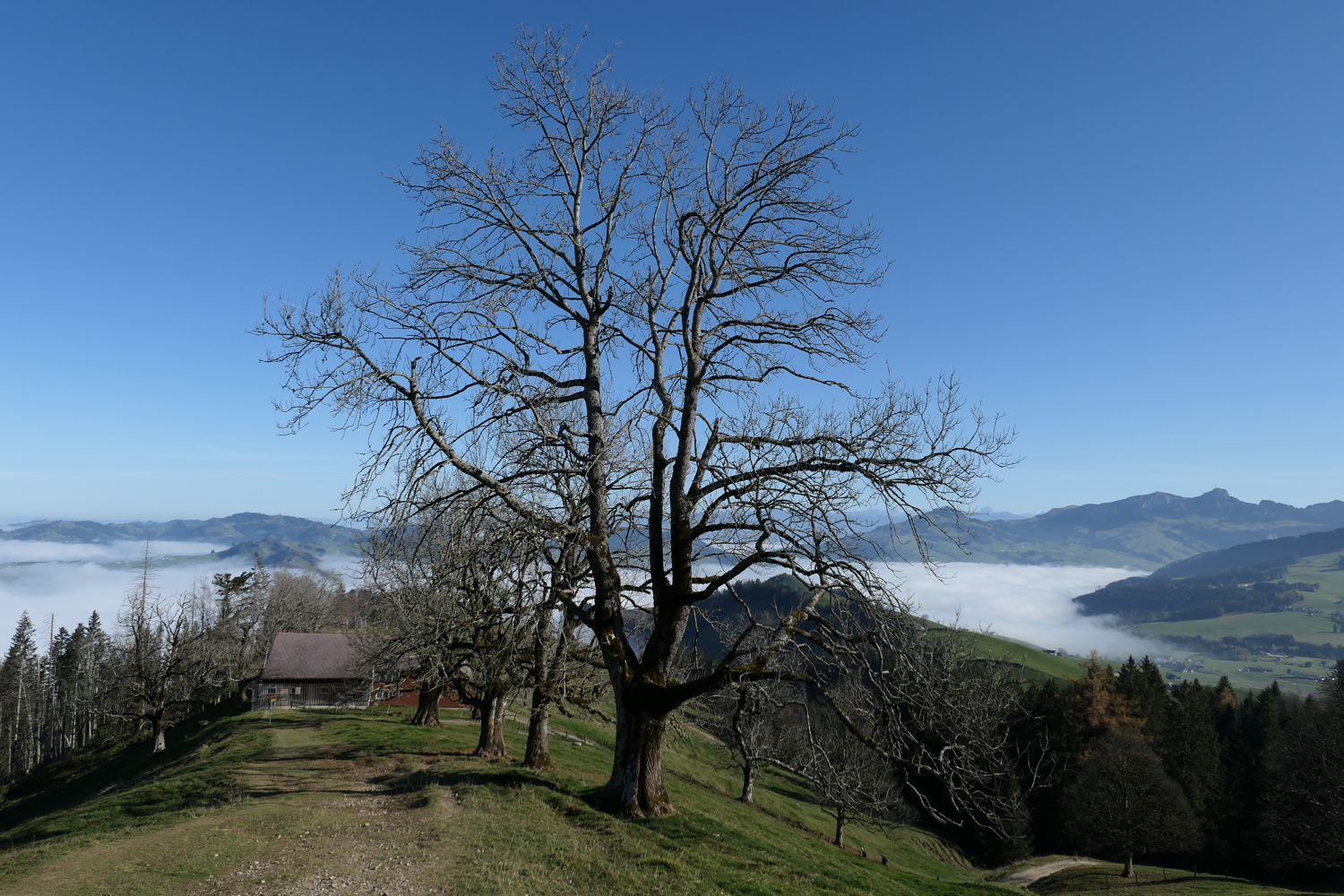 p1010047.jpg