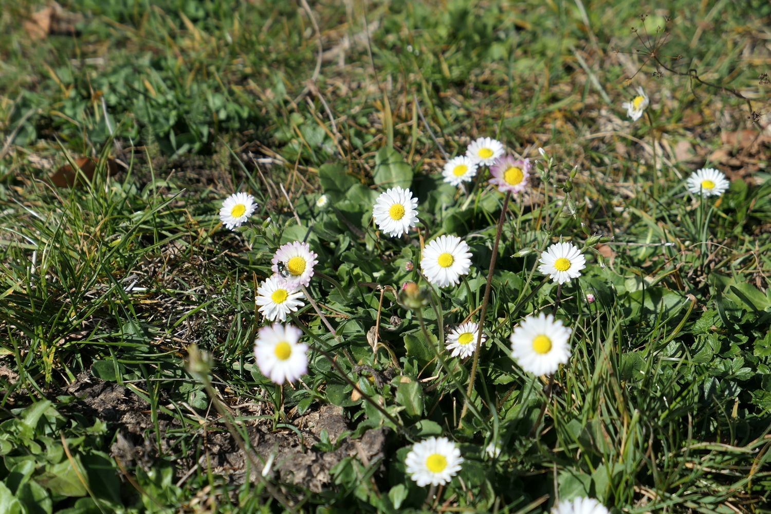 p1010048.jpg