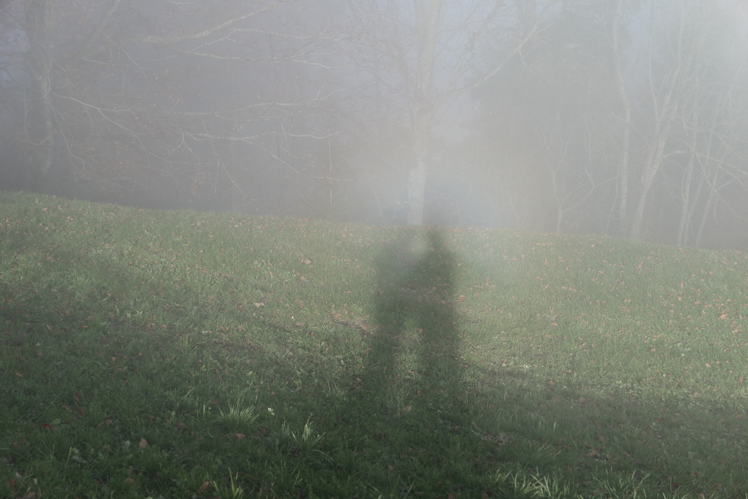 p1010055.jpg