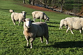 p1010035.jpg