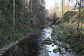 p1010037.jpg