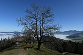 p1010047.jpg