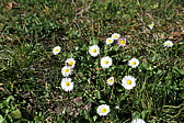 p1010048.jpg