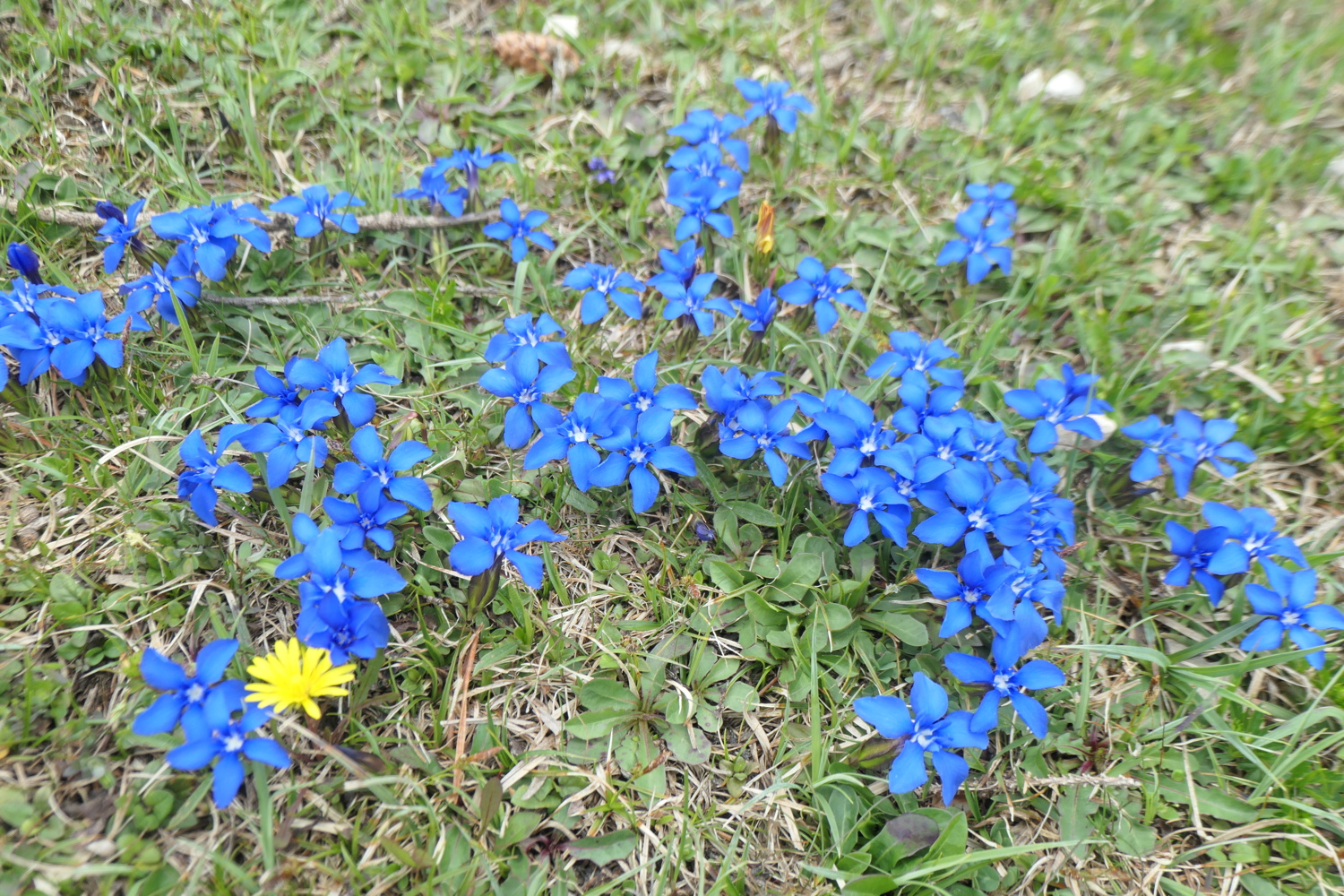 p1004744.jpg