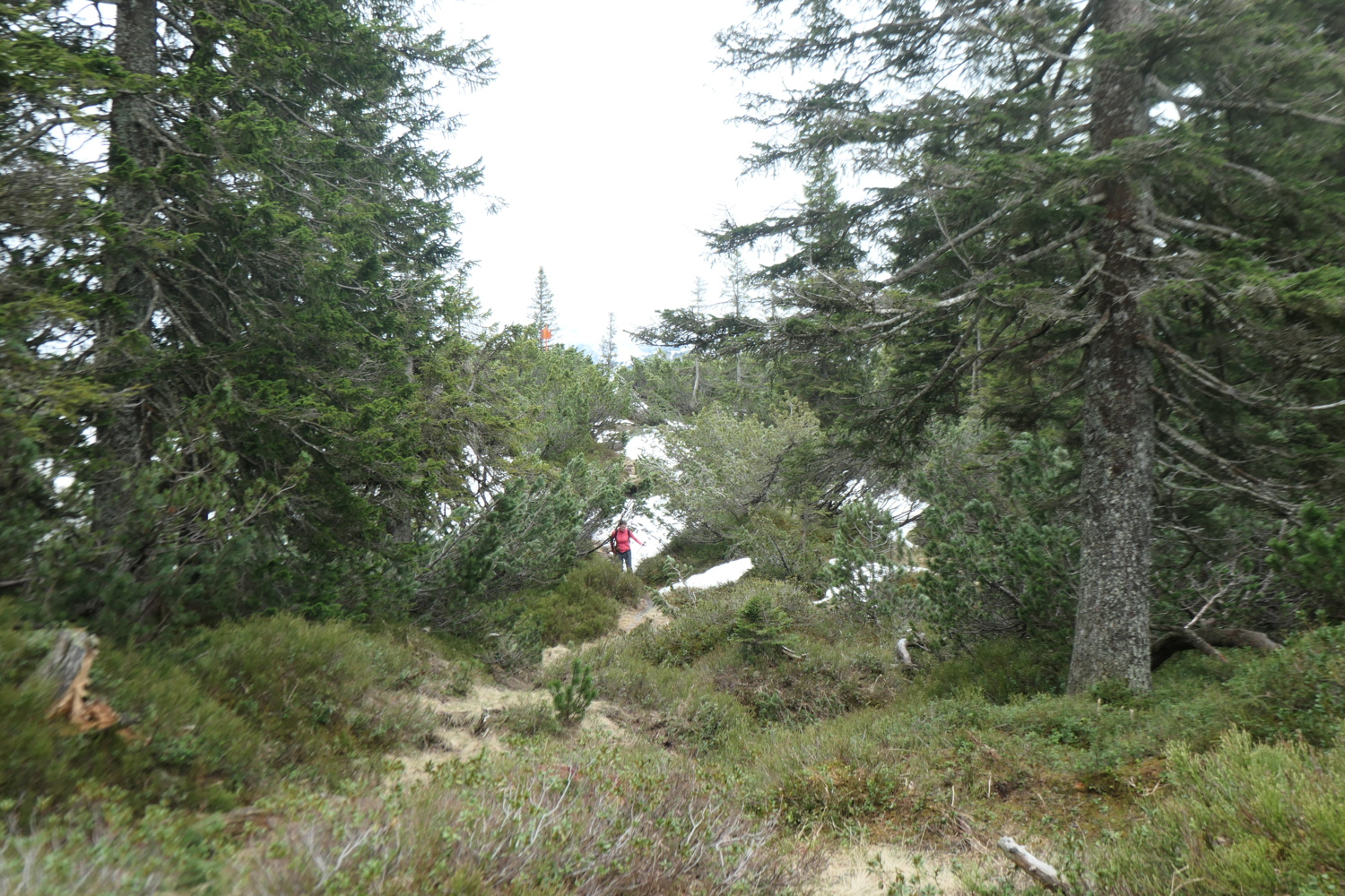 p1004749.jpg