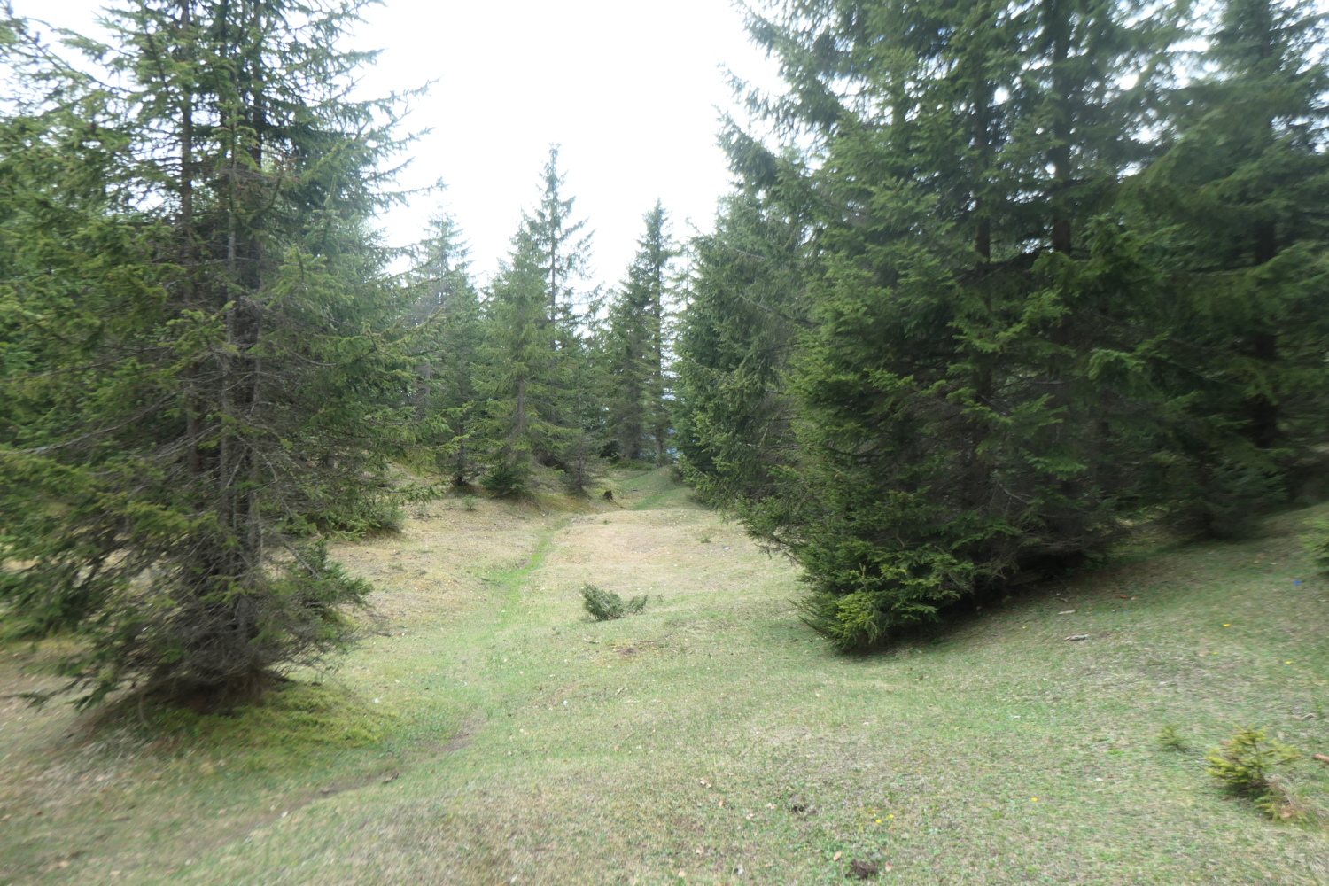 p1004754.jpg