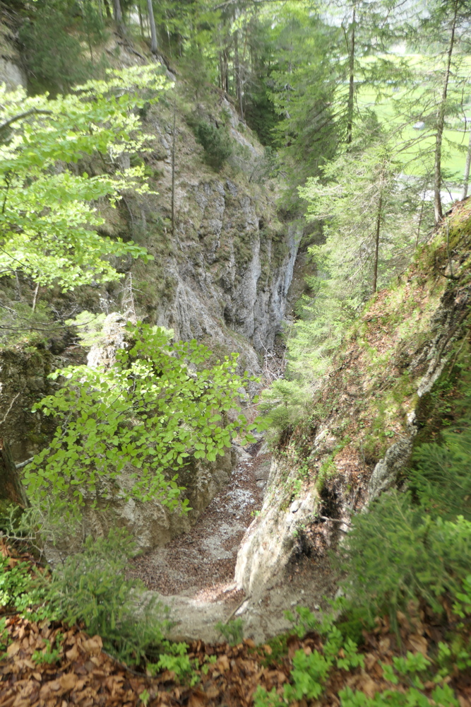 p1004756.jpg
