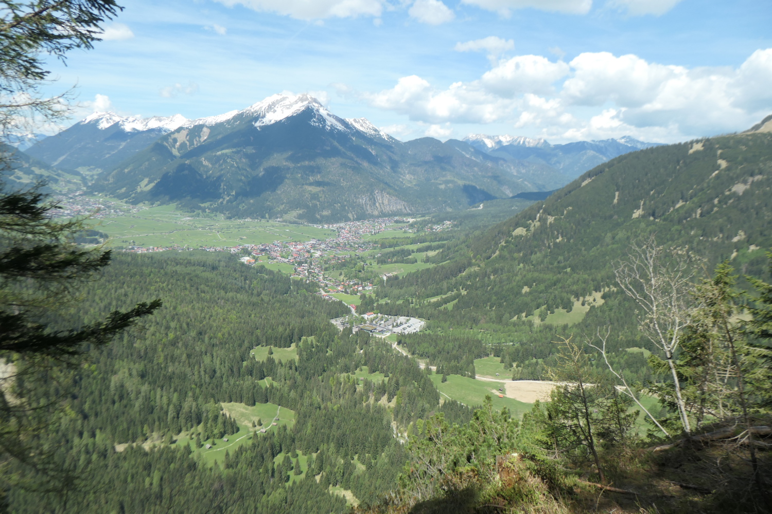 p1004777.jpg