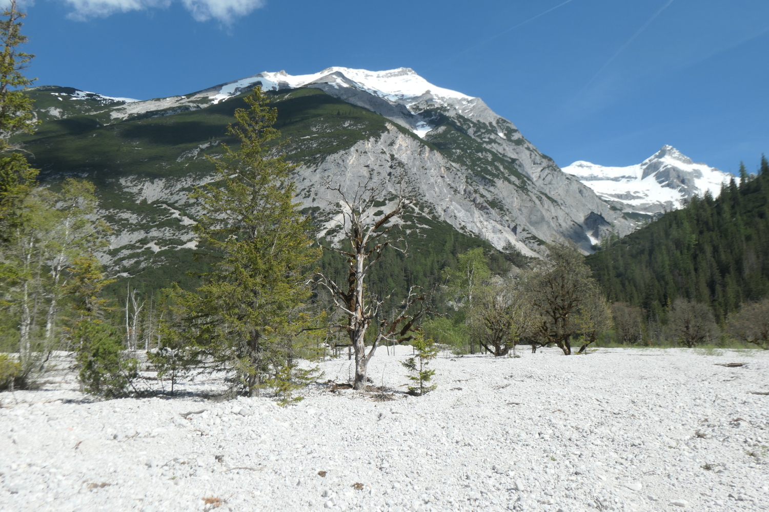 p1004800.jpg