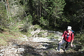 p1004737.jpg