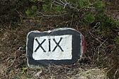 p1004748.jpg