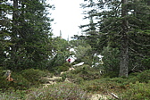 p1004749.jpg