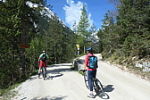 p1004766.jpg