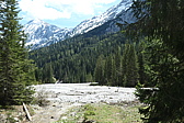 p1004781.jpg