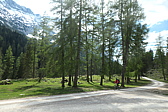 p1004785.jpg