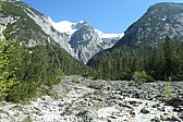 p1004792.jpg