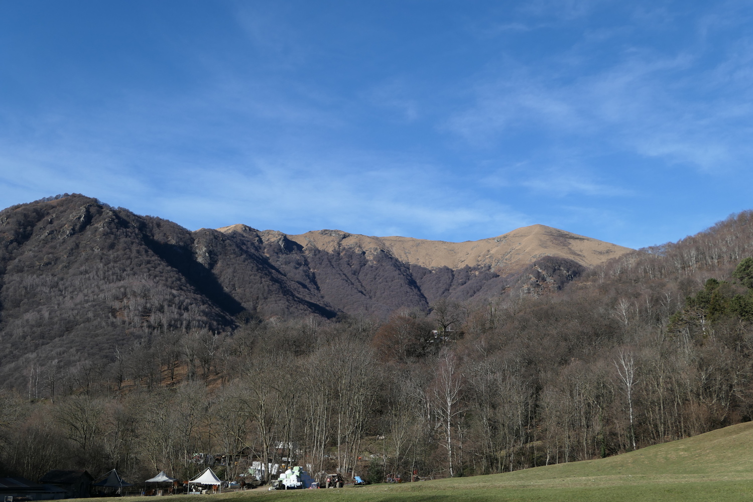 p1010213.jpg
