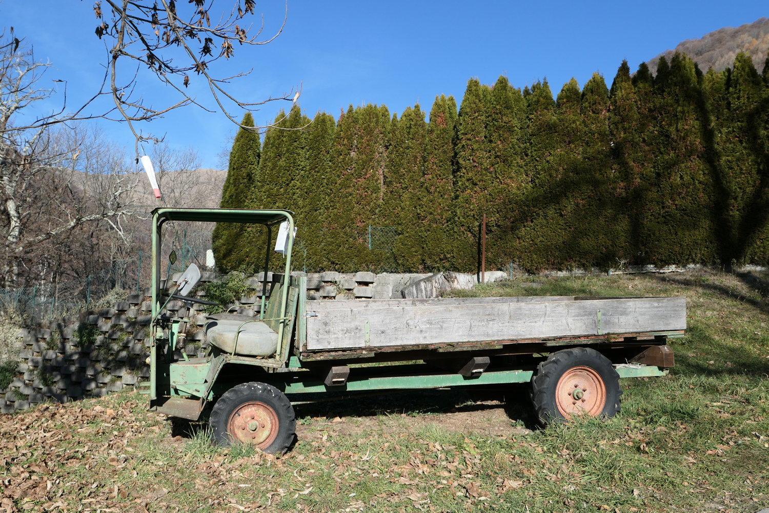 p1010214.jpg