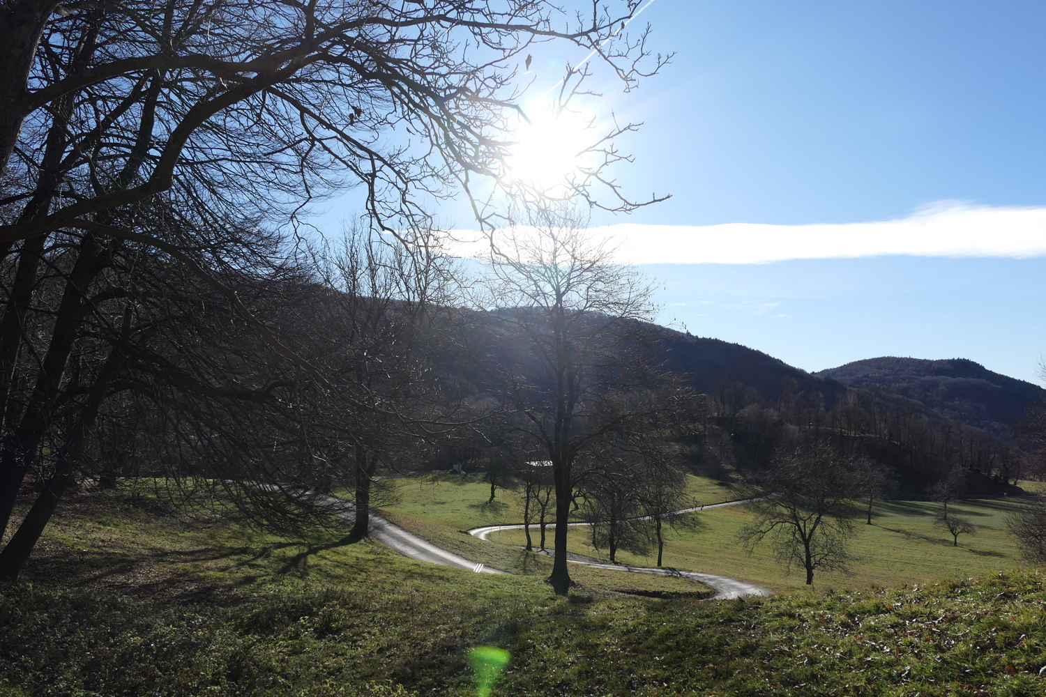 p1010215.jpg