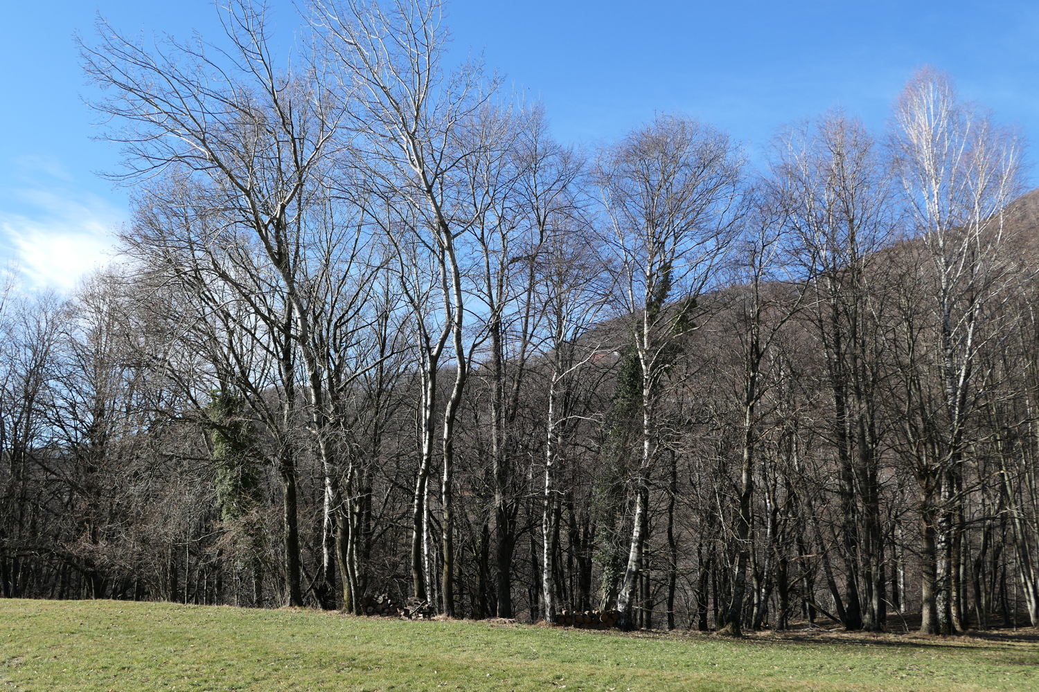 p1010217.jpg