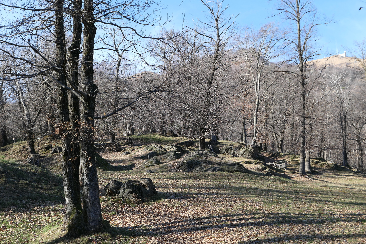 p1010229.jpg