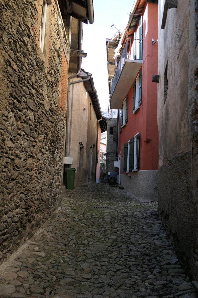 p1010237.jpg