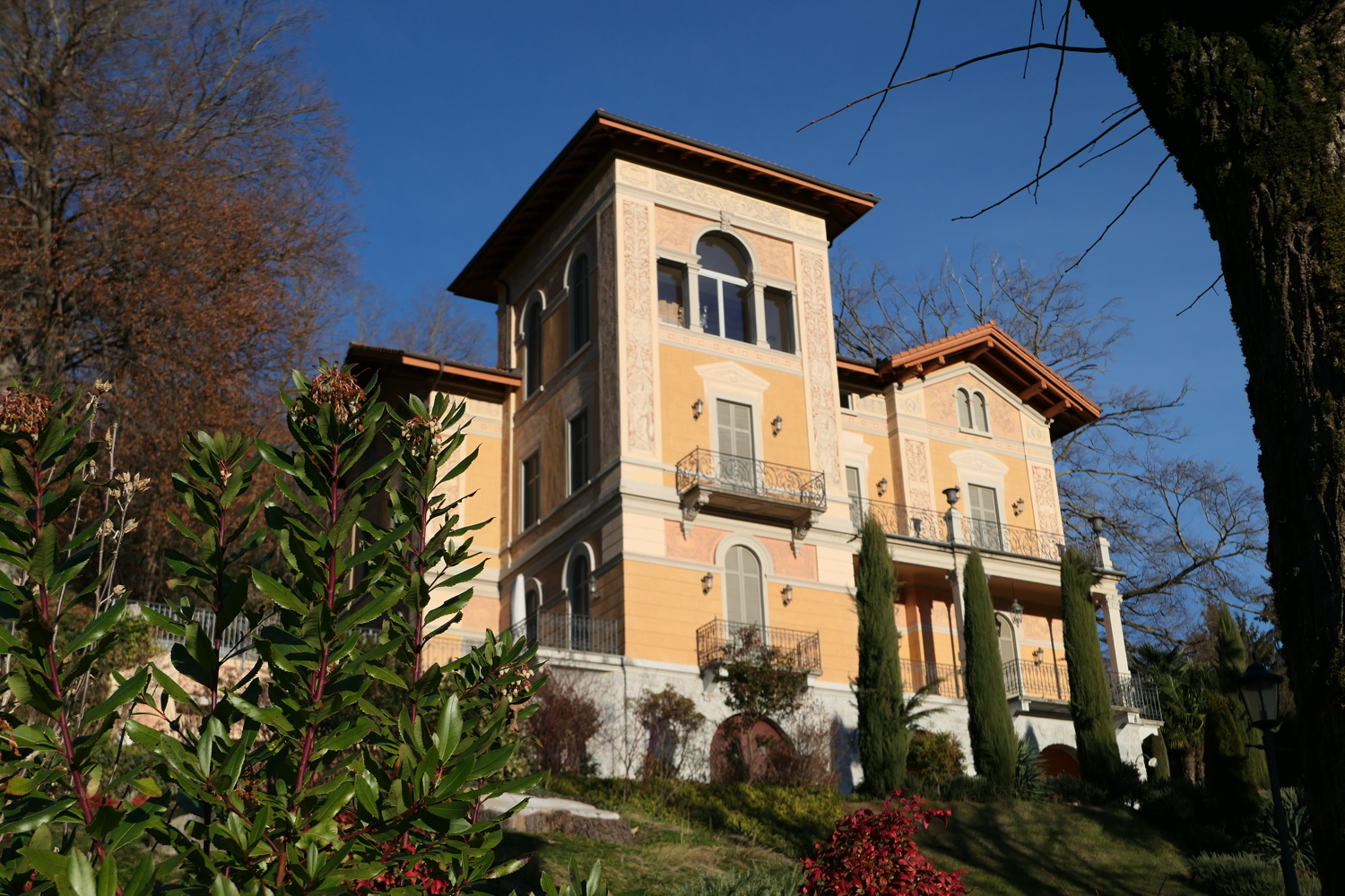 p1010250.jpg