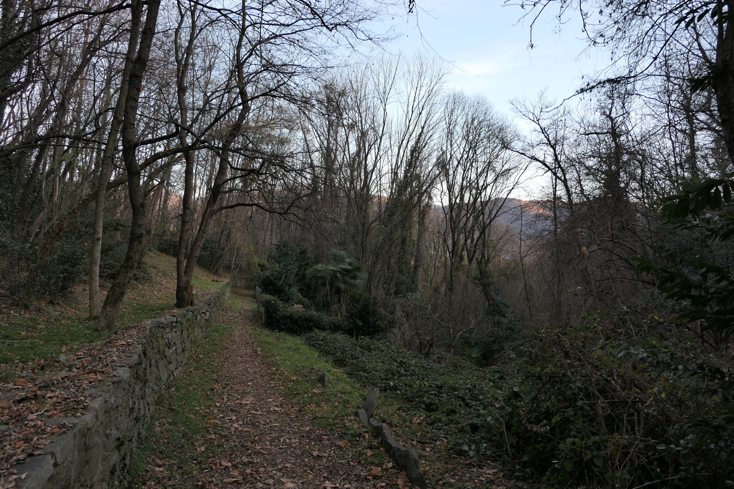 p1010259.jpg