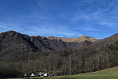 p1010213.jpg