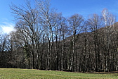 p1010217.jpg