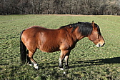 p1010218.jpg